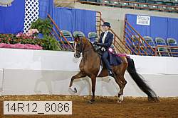 14r12_8086 proof