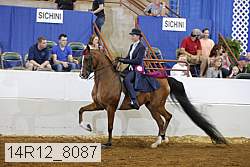 14r12_8087 proof