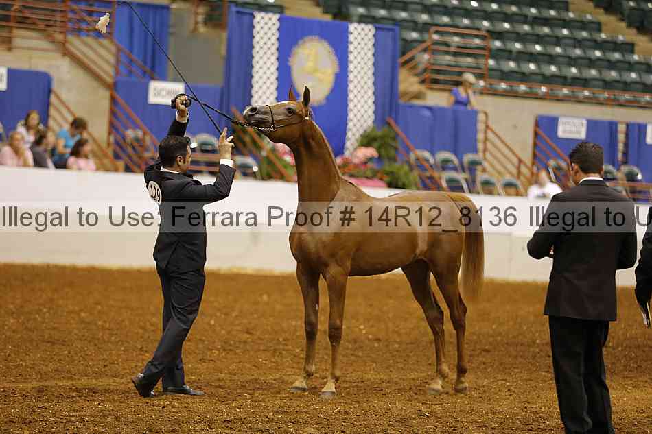 Proof 14r12_8136