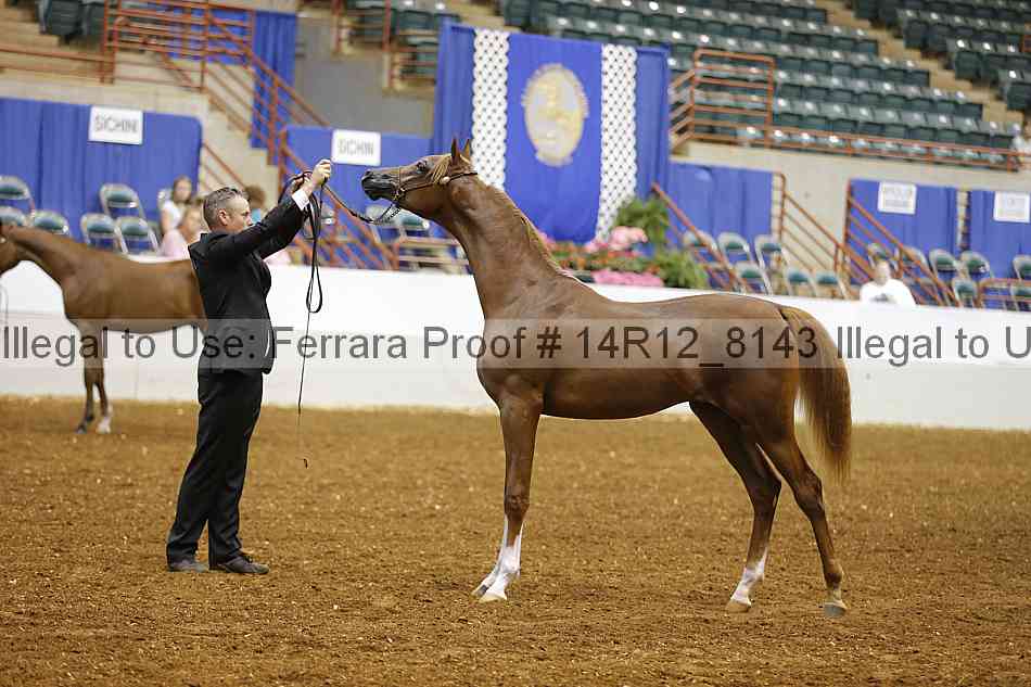 Proof 14r12_8143