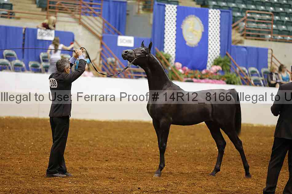 Proof 14r12_8166