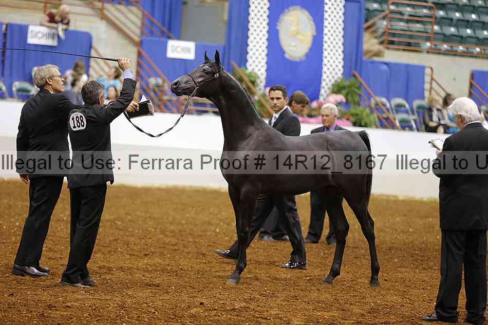 Proof 14r12_8167