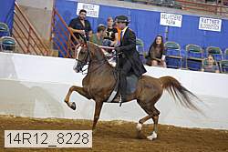 14r12_8228 proof
