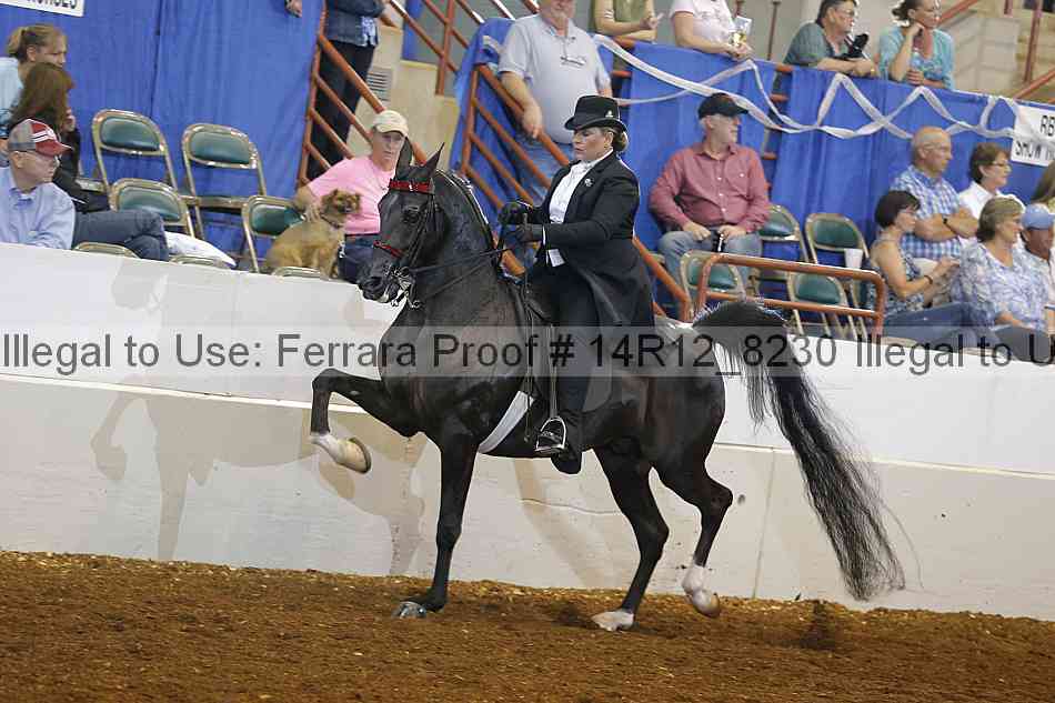 Proof 14r12_8230