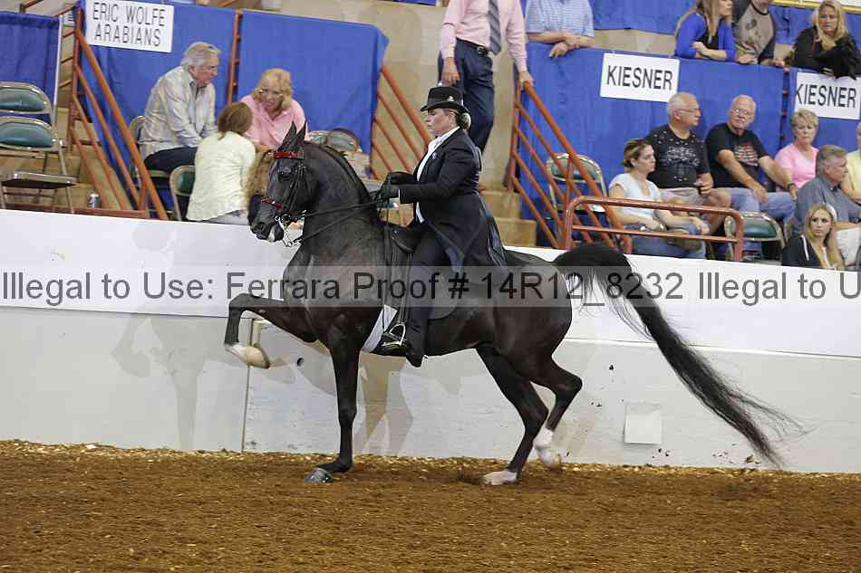 Proof 14r12_8232