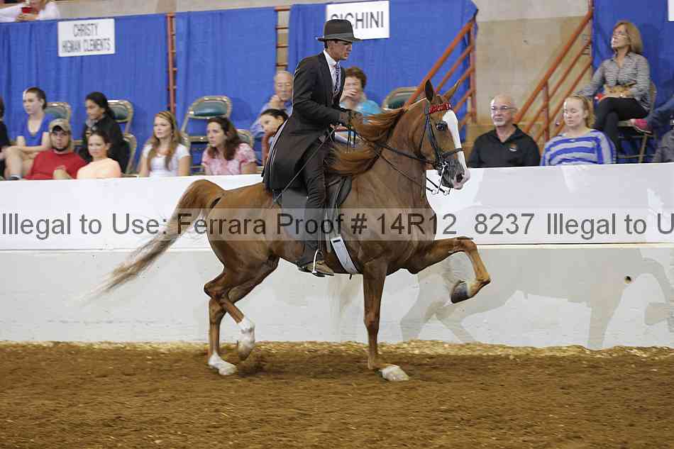 Proof 14r12_8237