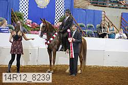 14r12_8239 proof