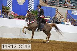 14r12_8248 proof