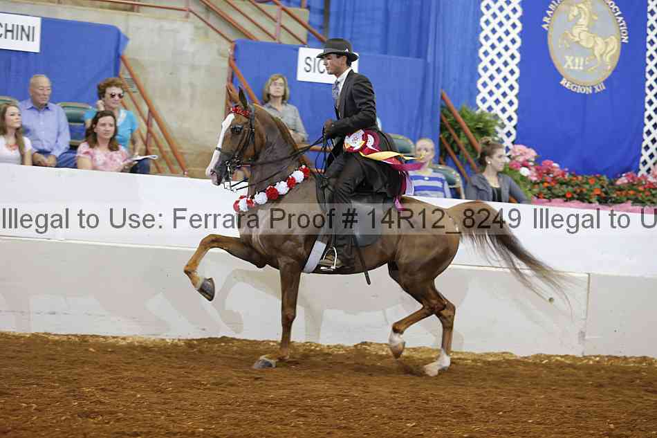 Proof 14r12_8249