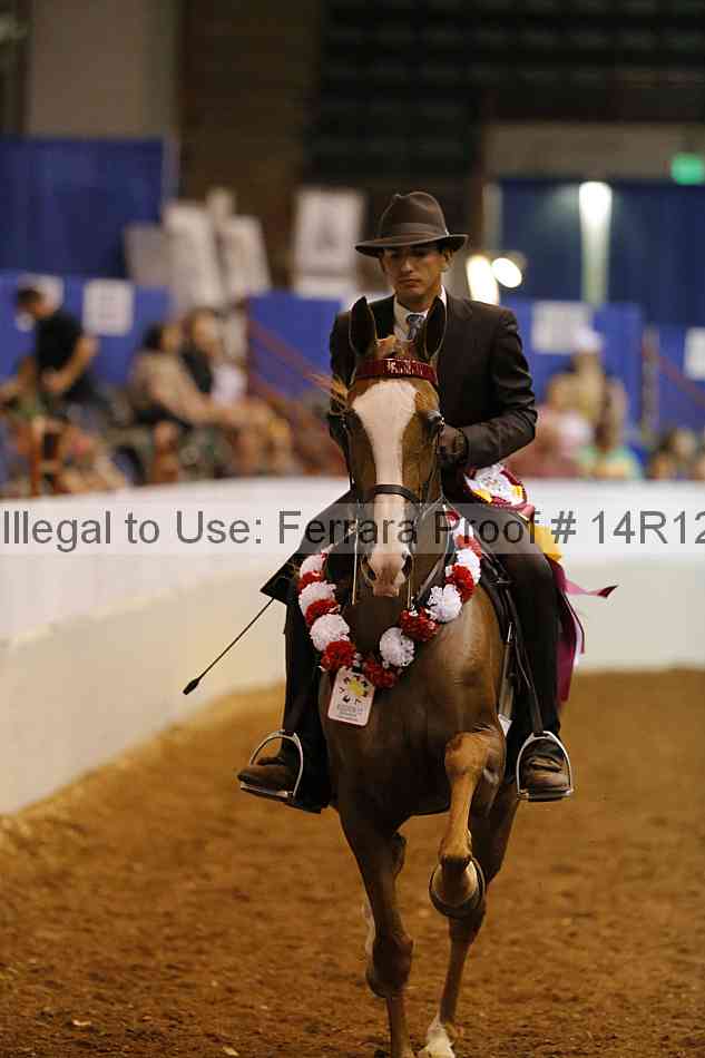 Proof 14r12_8252