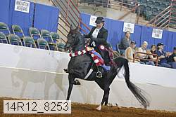 14r12_8253 proof