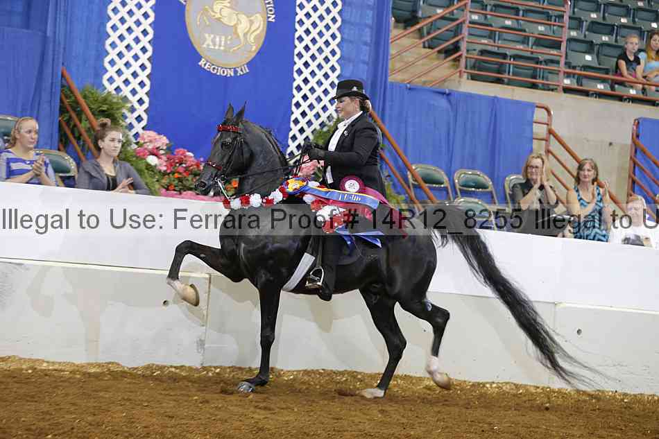 Proof 14r12_8255