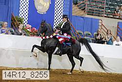 14r12_8255 proof