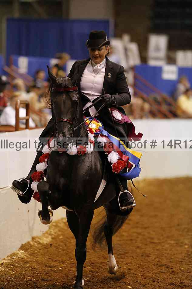 Proof 14r12_8259
