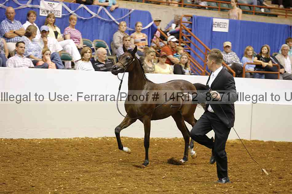 Proof 14r12_8271