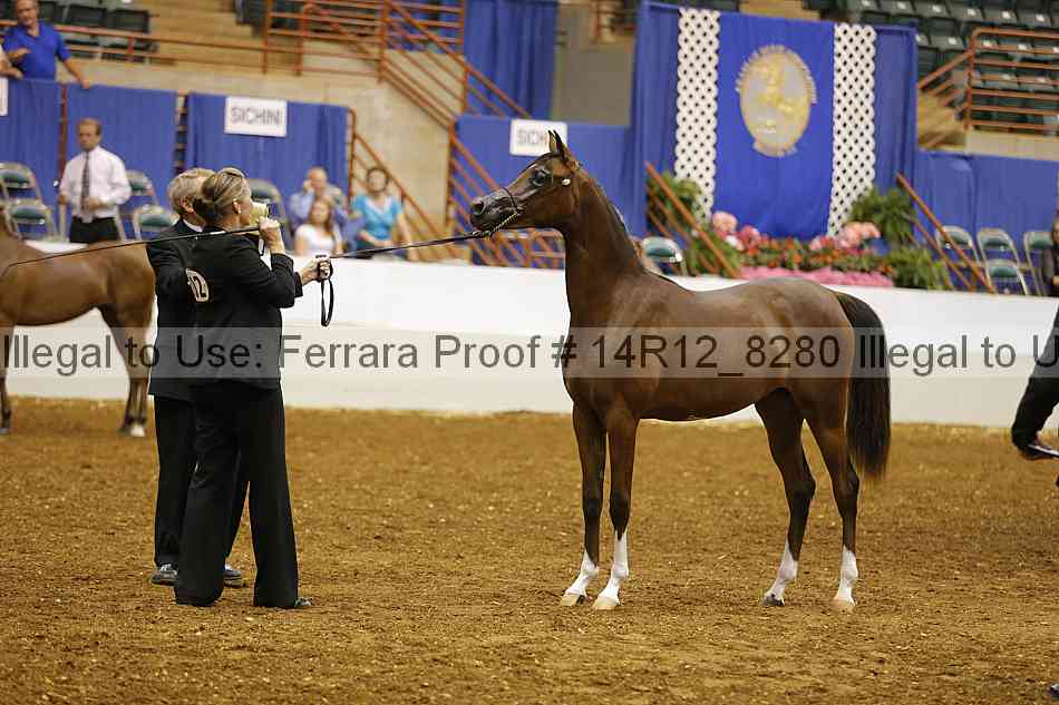 Proof 14r12_8280