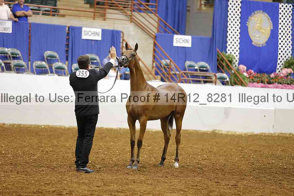 Proof 14r12_8281