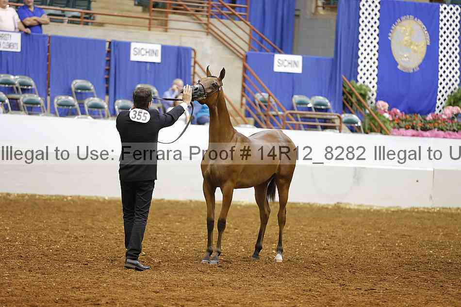 Proof 14r12_8282