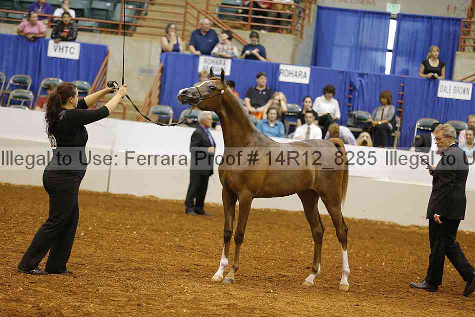 Proof 14r12_8285