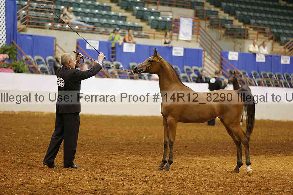 Proof 14r12_8290