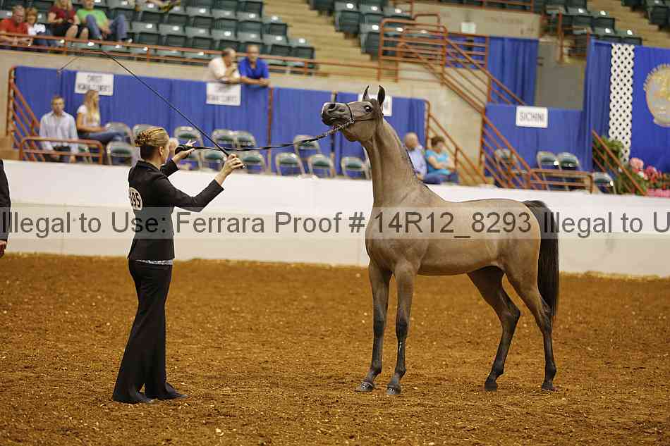 Proof 14r12_8293
