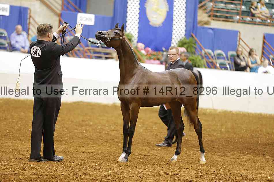Proof 14r12_8296