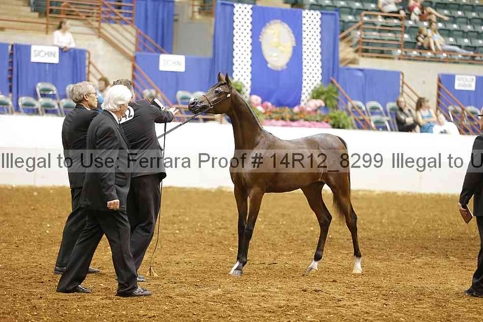 Proof 14r12_8299