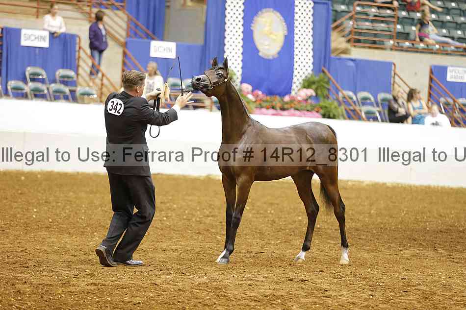 Proof 14r12_8301