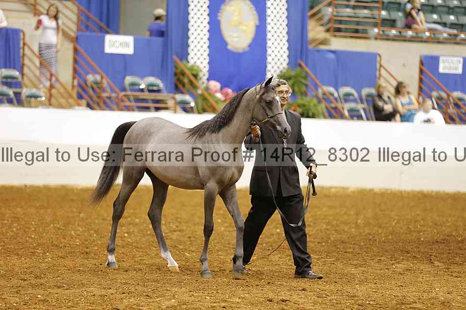 Proof 14r12_8302