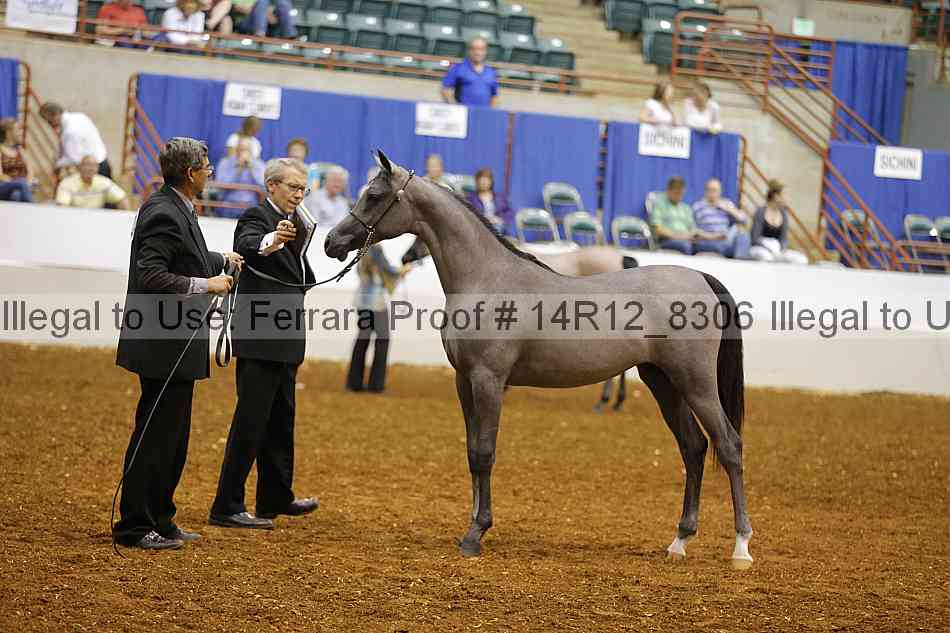 Proof 14r12_8306
