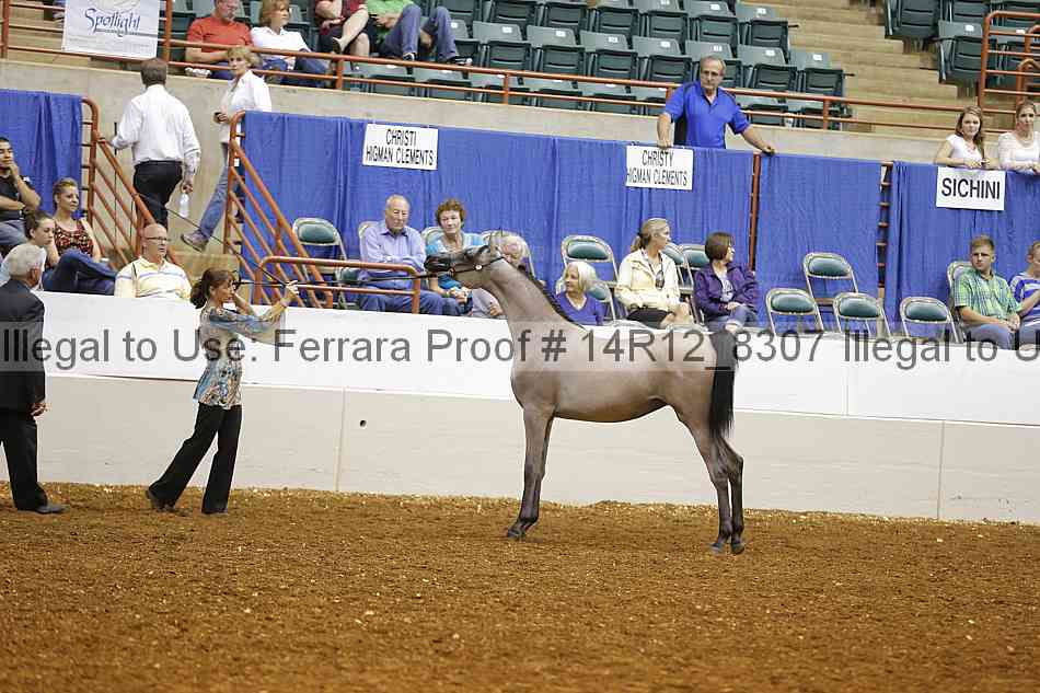 Proof 14r12_8307
