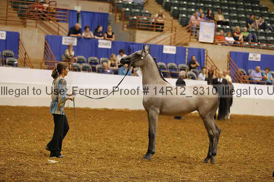 Proof 14r12_8310