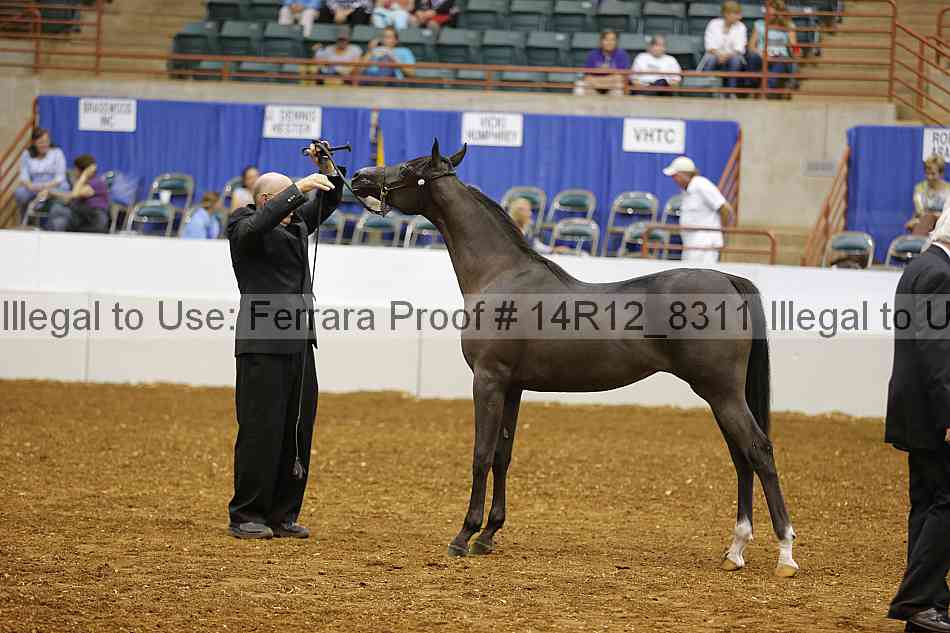 Proof 14r12_8311