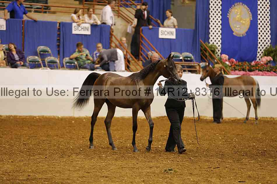 Proof 14r12_8316