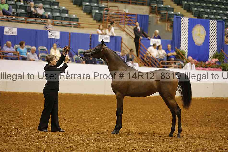Proof 14r12_8319
