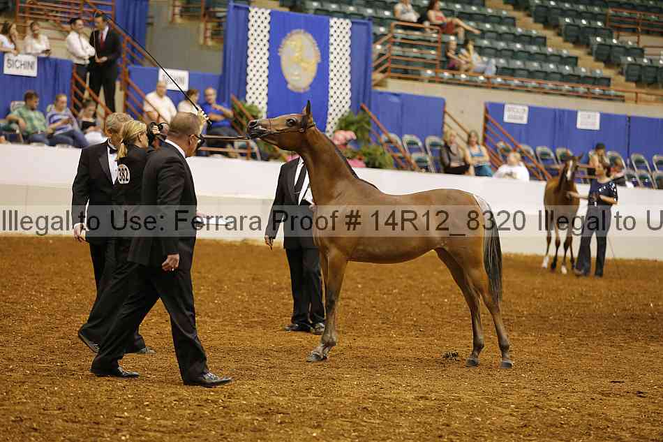 Proof 14r12_8320