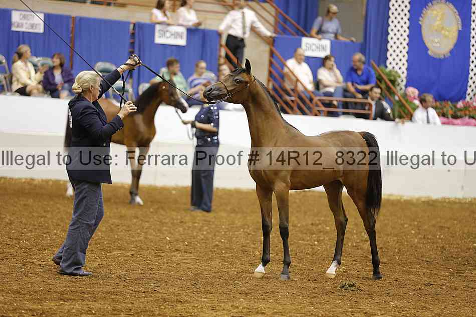 Proof 14r12_8322