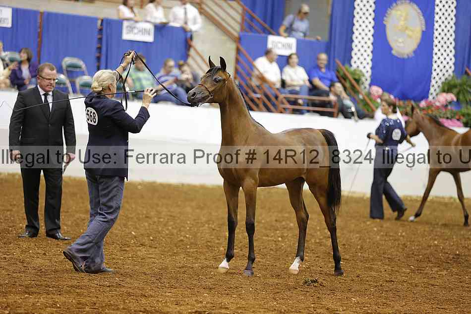 Proof 14r12_8324
