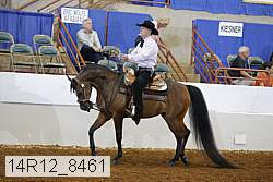 14r12_8461 proof