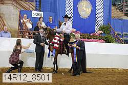14r12_8501 proof