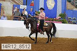 14r12_8512 proof