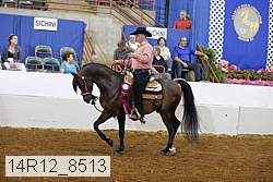 14r12_8513 proof