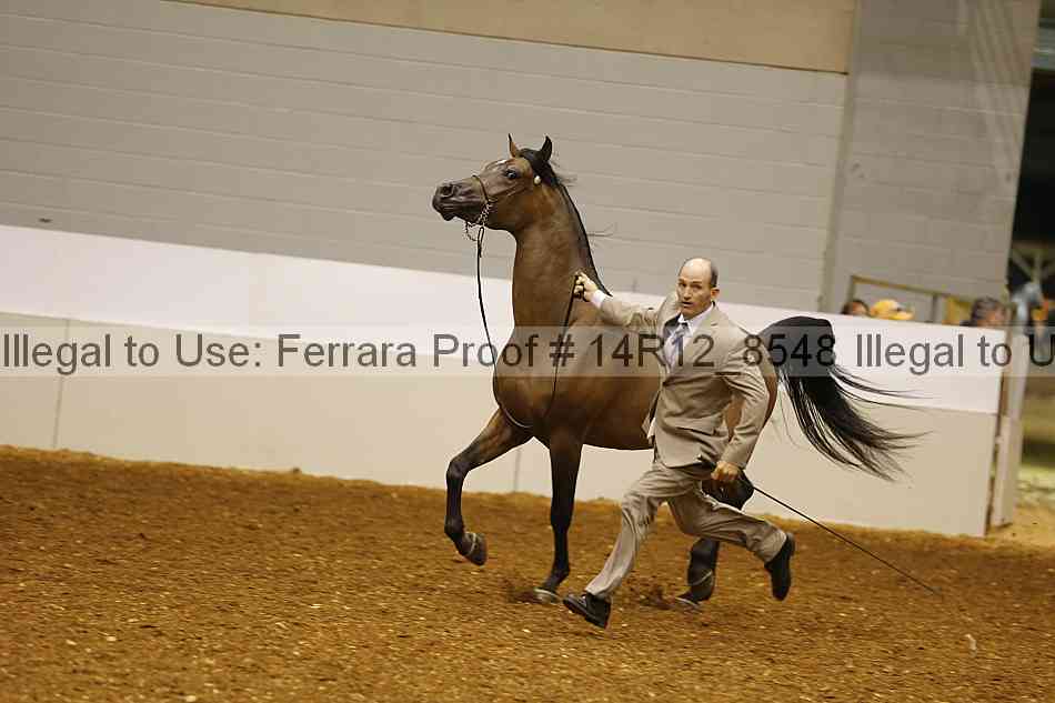 Proof 14r12_8548