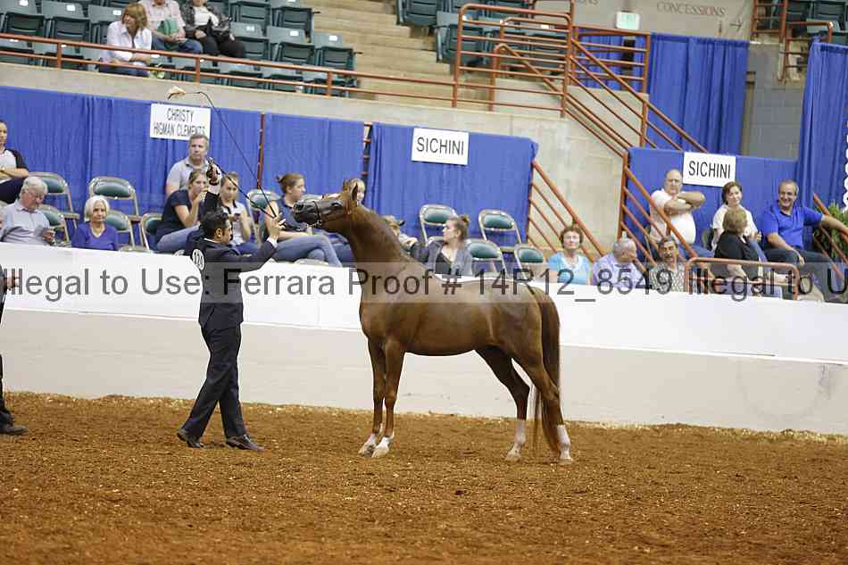 Proof 14r12_8549