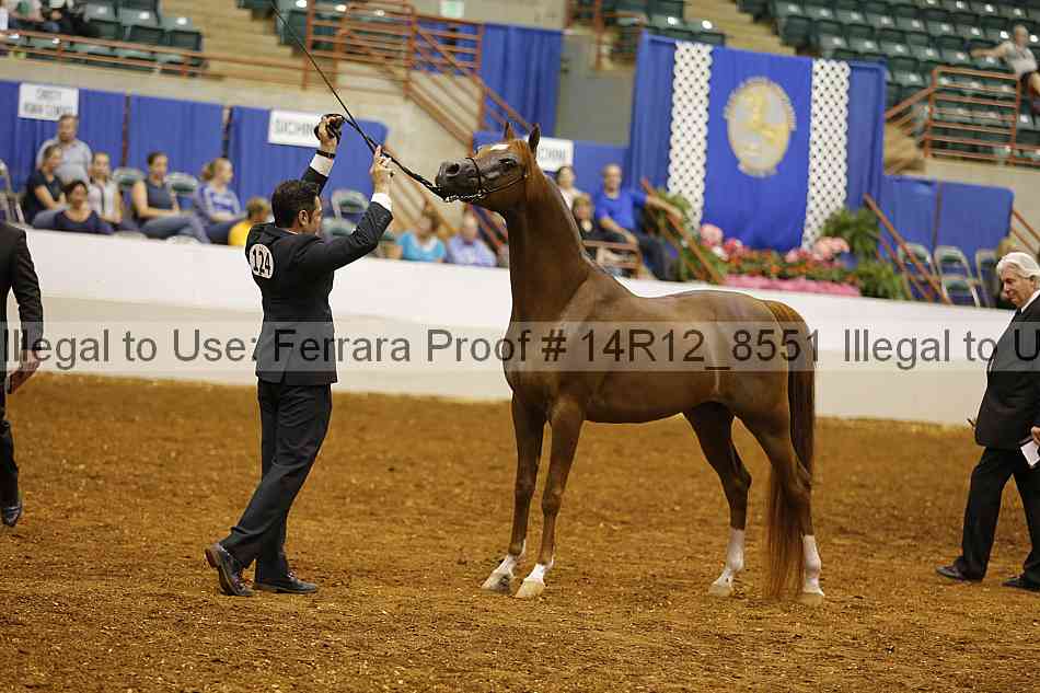 Proof 14r12_8551