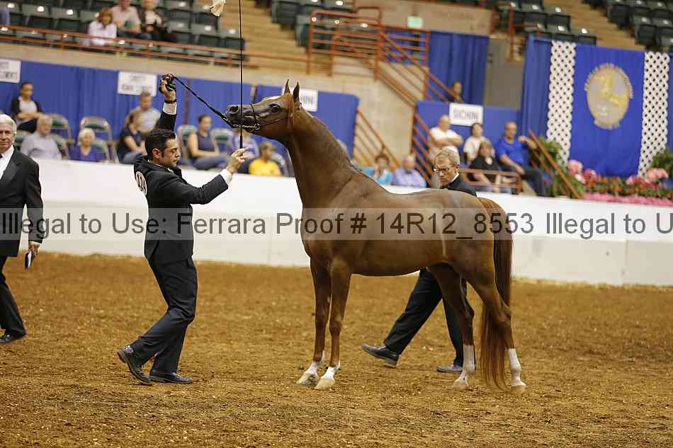 Proof 14r12_8553