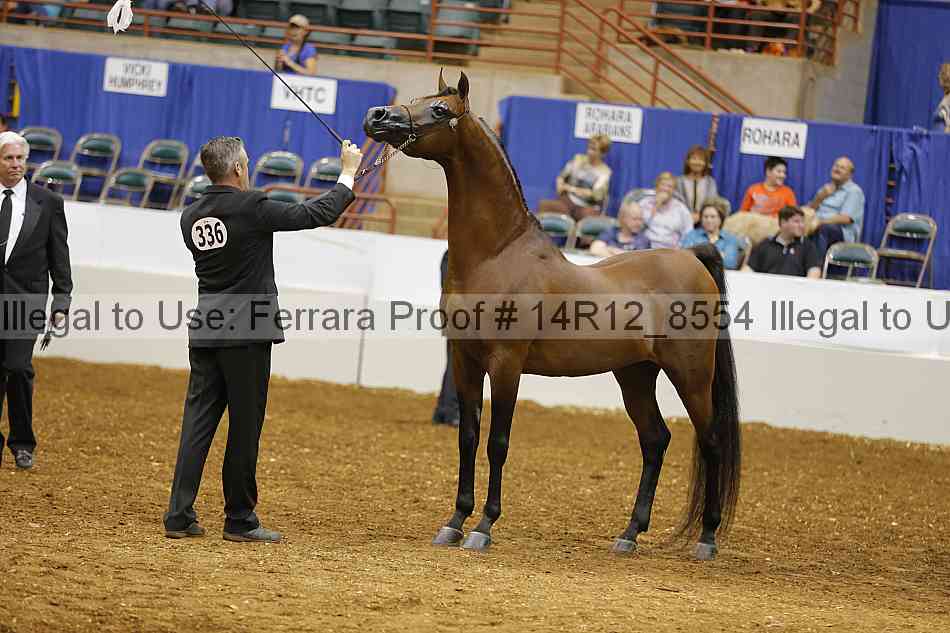 Proof 14r12_8554