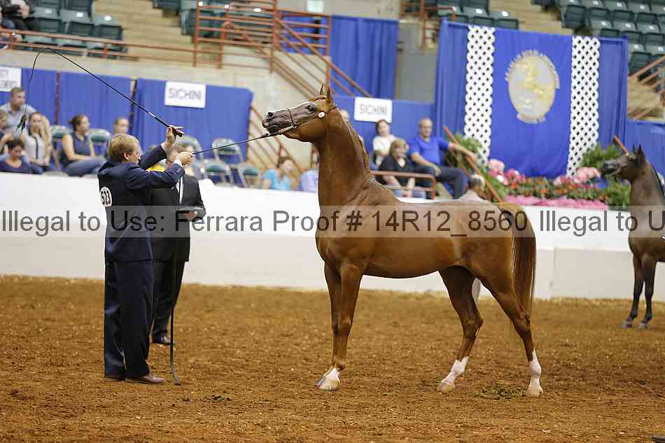 Proof 14r12_8560