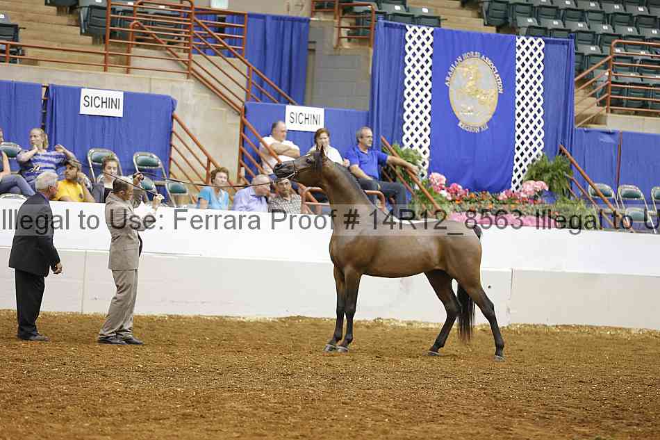 Proof 14r12_8563