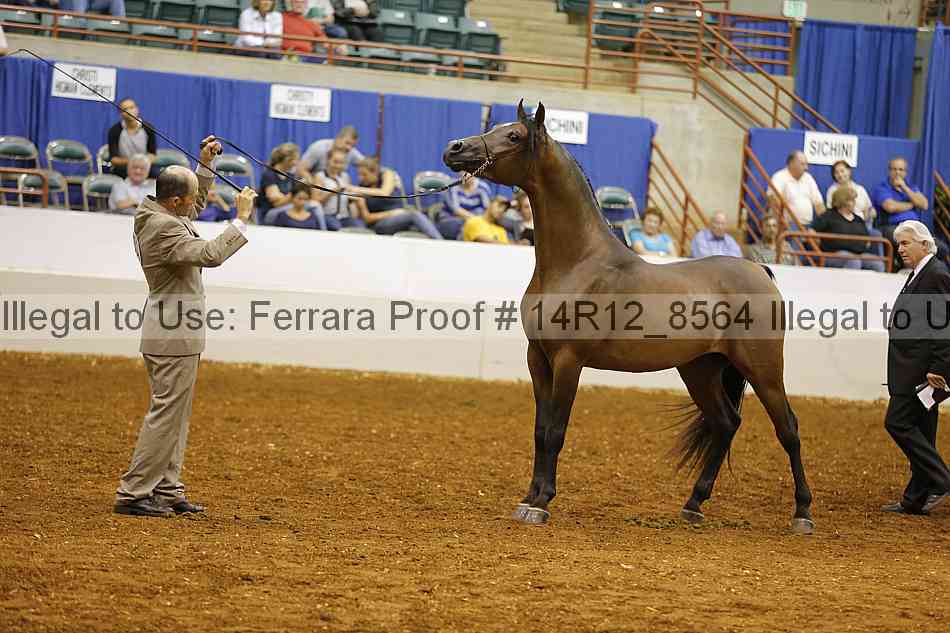 Proof 14r12_8564